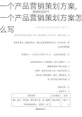 一个产品营销策划方案,一个产品营销策划方案怎么写