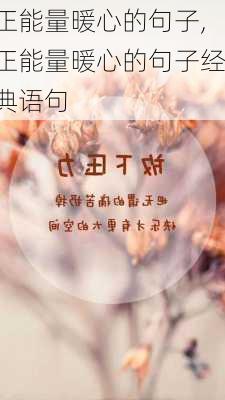 正能量暖心的句子,正能量暖心的句子经典语句