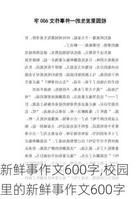 新鲜事作文600字,校园里的新鲜事作文600字