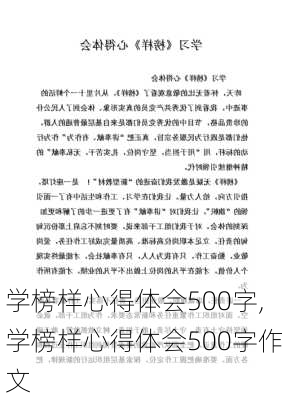 学榜样心得体会500字,学榜样心得体会500字作文