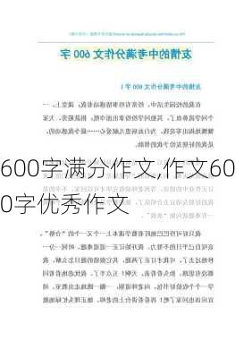 600字满分作文,作文600字优秀作文