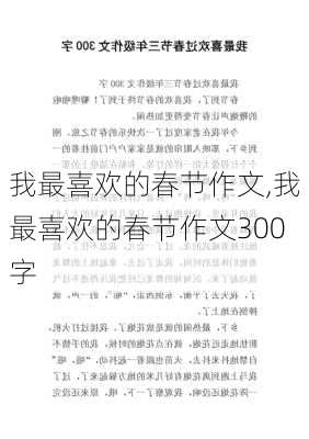 我最喜欢的春节作文,我最喜欢的春节作文300字