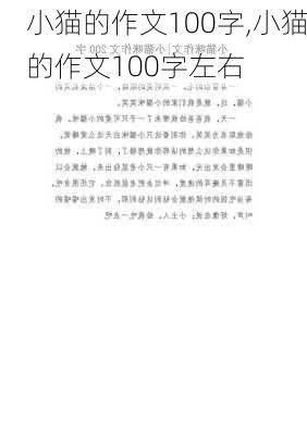 小猫的作文100字,小猫的作文100字左右