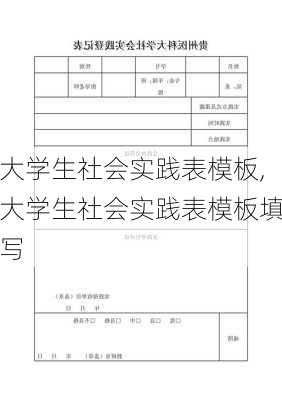 大学生社会实践表模板,大学生社会实践表模板填写