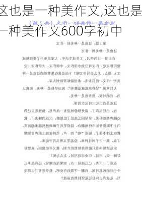 这也是一种美作文,这也是一种美作文600字初中