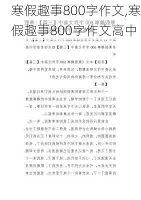 寒假趣事800字作文,寒假趣事800字作文高中