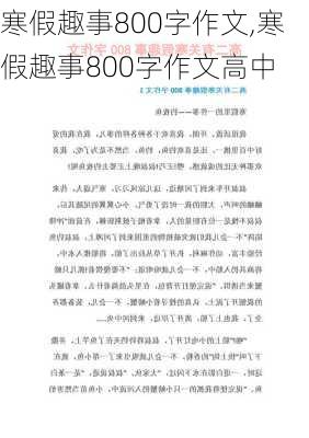 寒假趣事800字作文,寒假趣事800字作文高中