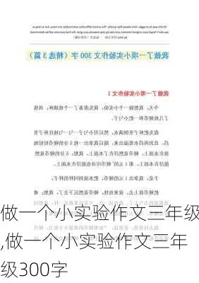 做一个小实验作文三年级,做一个小实验作文三年级300字