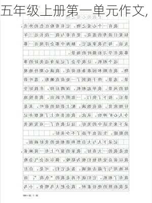 五年级上册第一单元作文,