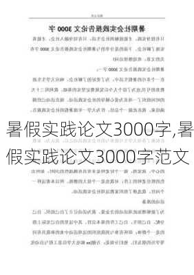 暑假实践论文3000字,暑假实践论文3000字范文