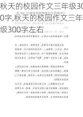 秋天的校园作文三年级300字,秋天的校园作文三年级300字左右