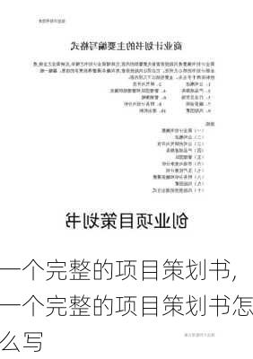 一个完整的项目策划书,一个完整的项目策划书怎么写