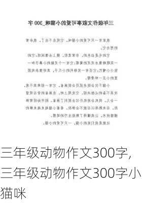 三年级动物作文300字,三年级动物作文300字小猫咪