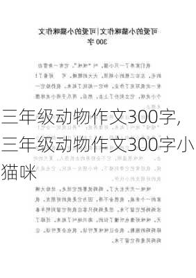 三年级动物作文300字,三年级动物作文300字小猫咪