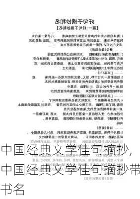 中国经典文学佳句摘抄,中国经典文学佳句摘抄带书名