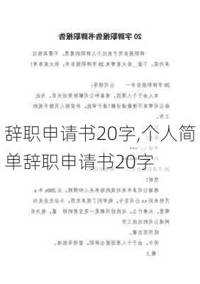 辞职申请书20字,个人简单辞职申请书20字