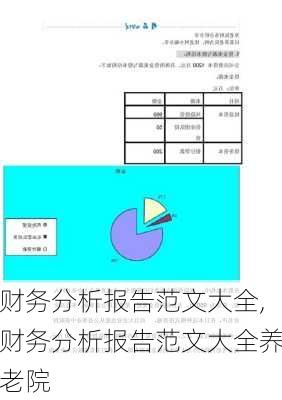 财务分析报告范文大全,财务分析报告范文大全养老院