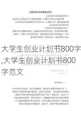 大学生创业计划书800字,大学生创业计划书800字范文