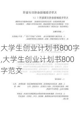 大学生创业计划书800字,大学生创业计划书800字范文