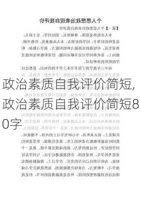 政治素质自我评价简短,政治素质自我评价简短80字