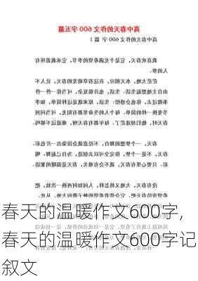 春天的温暖作文600字,春天的温暖作文600字记叙文