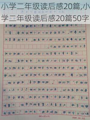 小学二年级读后感20篇,小学二年级读后感20篇50字