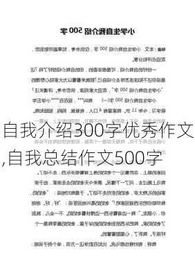 自我介绍300字优秀作文,自我总结作文500字