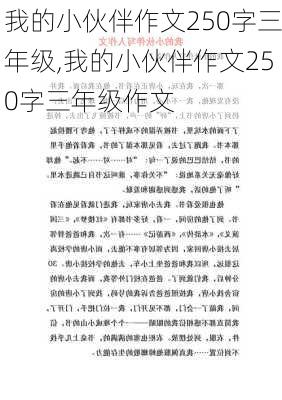 我的小伙伴作文250字三年级,我的小伙伴作文250字三年级作文