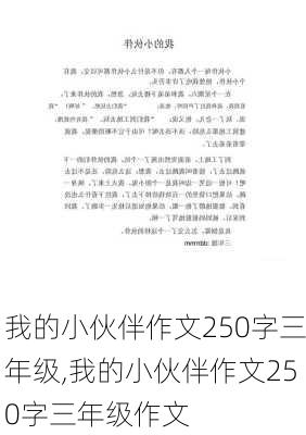 我的小伙伴作文250字三年级,我的小伙伴作文250字三年级作文