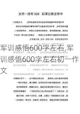 军训感悟600字左右,军训感悟600字左右初一作文