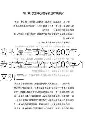 我的端午节作文600字,我的端午节作文600字作文初二