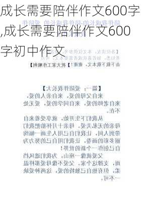 成长需要陪伴作文600字,成长需要陪伴作文600字初中作文