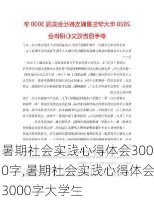 暑期社会实践心得体会3000字,暑期社会实践心得体会3000字大学生