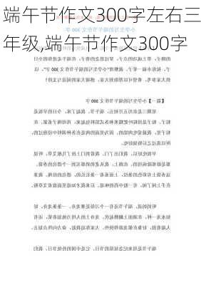 端午节作文300字左右三年级,端午节作文300字