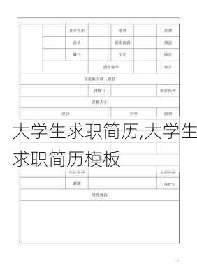 大学生求职简历,大学生求职简历模板