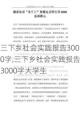 三下乡社会实践报告3000字,三下乡社会实践报告3000字大学生