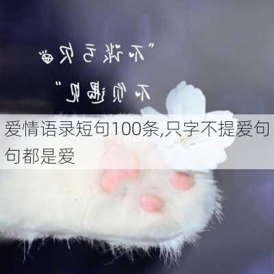 爱情语录短句100条,只字不提爱句句都是爱