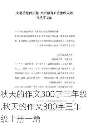 秋天的作文300字三年级,秋天的作文300字三年级上册一篇