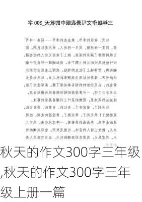 秋天的作文300字三年级,秋天的作文300字三年级上册一篇