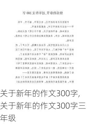 关于新年的作文300字,关于新年的作文300字三年级