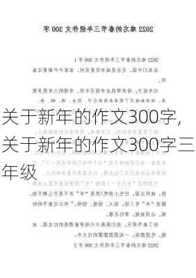 关于新年的作文300字,关于新年的作文300字三年级