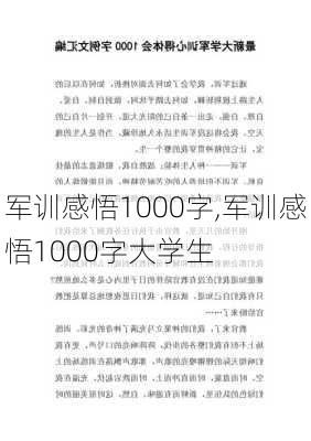 军训感悟1000字,军训感悟1000字大学生