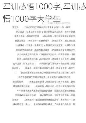 军训感悟1000字,军训感悟1000字大学生