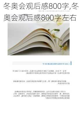 冬奥会观后感800字,冬奥会观后感800字左右