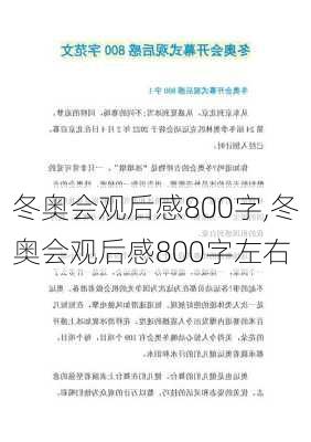 冬奥会观后感800字,冬奥会观后感800字左右