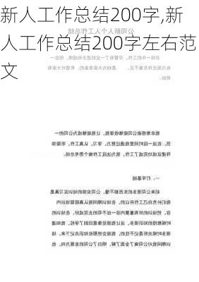 新人工作总结200字,新人工作总结200字左右范文