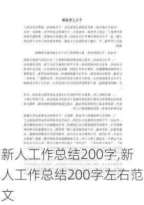 新人工作总结200字,新人工作总结200字左右范文