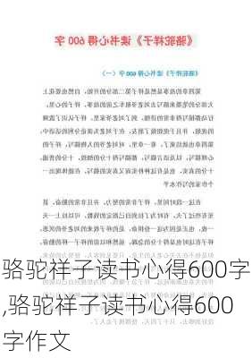 骆驼祥子读书心得600字,骆驼祥子读书心得600字作文