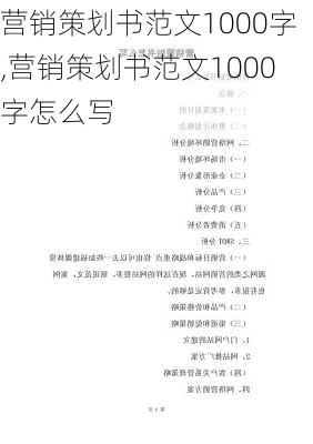 营销策划书范文1000字,营销策划书范文1000字怎么写