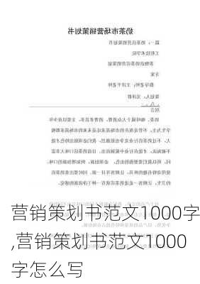 营销策划书范文1000字,营销策划书范文1000字怎么写